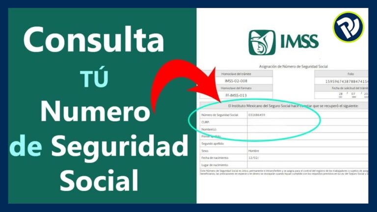 Cómo Saber Tu Numero de IMSS