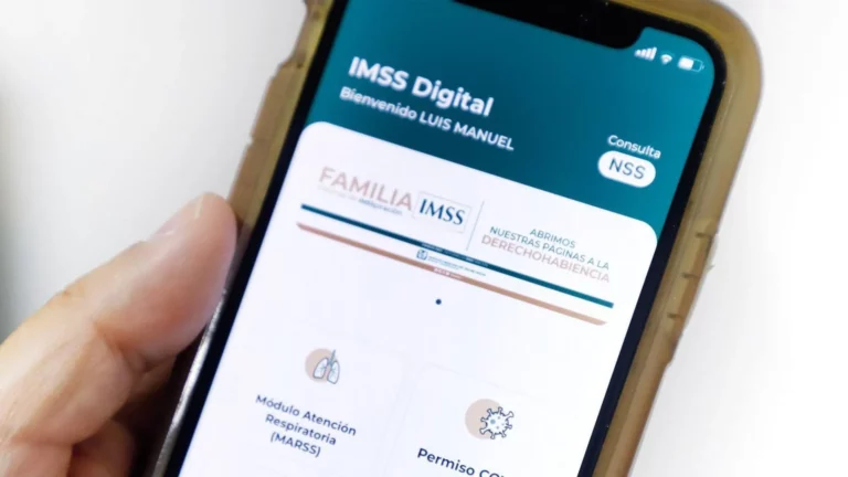 Como Dar de Alta en el IMSS por Internet