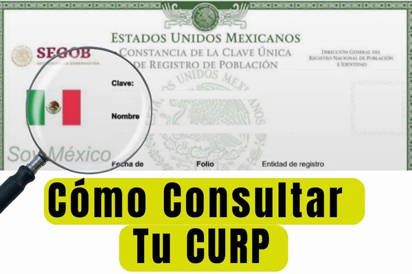 Cómo Consultar Tu CURP