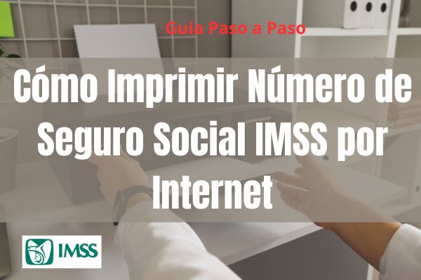 Cómo Imprimir Número de Seguro Social IMSS por Internet: Guía Paso a Paso