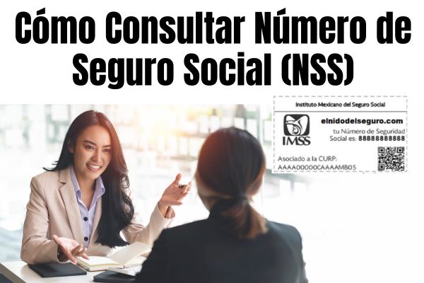 Cómo Buscar Tu Número de Seguro Social (NSS): Guía Completa