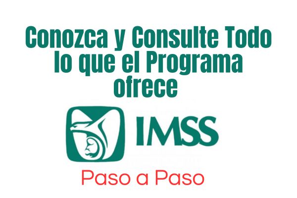 Servicios IMSS Digital: Conozca y Consulte Todo lo que el Programa ofrece