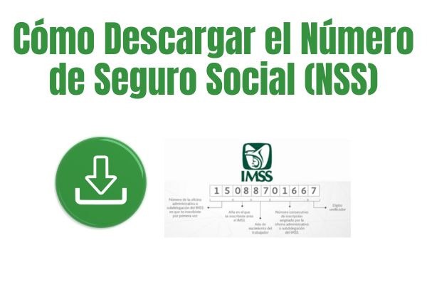 Cómo Descargar el Número de Seguro Social (NSS) en Argentina: Guía Paso a Paso